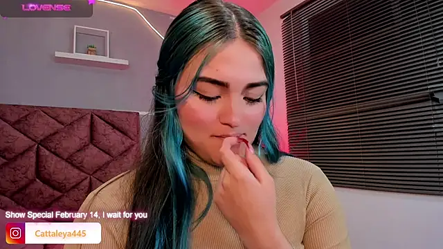 cattaleya    online show from 02/13/25, 06:09