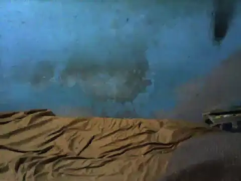 Snapshot of little__joy chatting on 03/01/25, 02:37 little  joy online show from 03/01/25, 02:37