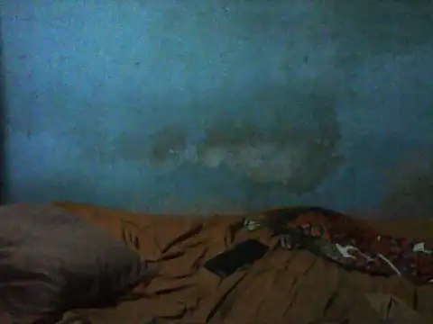 little  joy online show from 11/29/25, 09:18