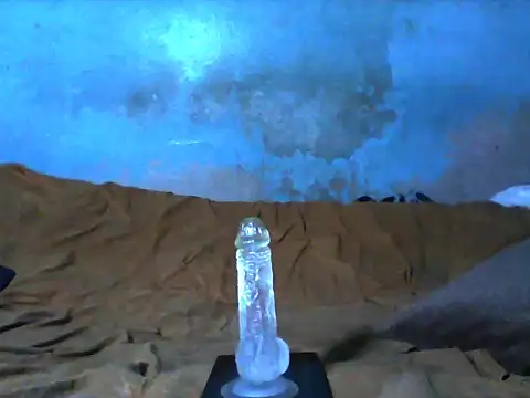 little  joy online show from 12/19/25, 03:13