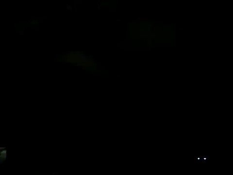 Everydayonli online show from 02/06/25, 12:54