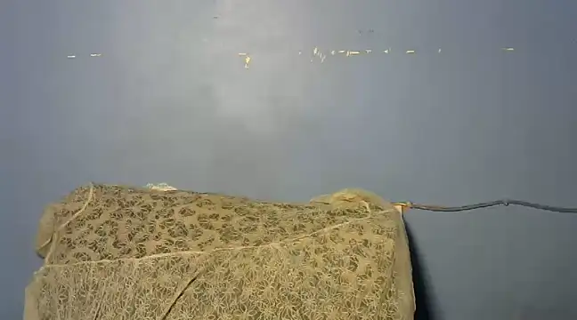 shishbabe online show from 03/04/25, 04:49