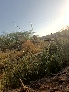 lovesuna online show from 03/05/25, 02:25