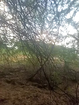 lovesuna online show from 09/30/25, 01:32