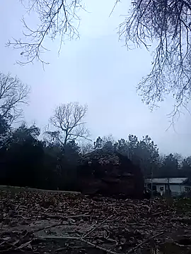 Xoc8  online show from 01/20/25, 11:32