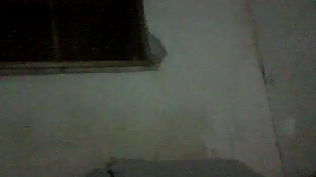 PAUBRASILEIRORJ online show from 07/17/26, 01:56