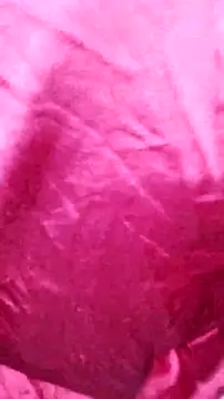 Kitty Doll69 online show from 11/04/25, 07:46