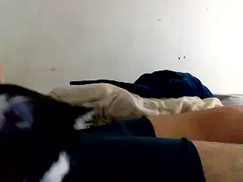 Snapshot of yass56789 chatting on 11/15/25, 11:54 yass56789 online show from 11/15/25, 11:54