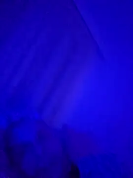 Snapshot of denisxlRo chatting on 03/16/25, 08:11 denisxlRo online show from 03/16/25, 08:11