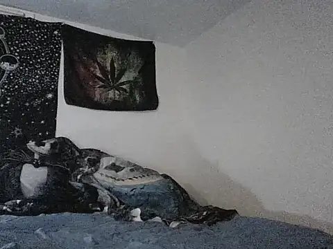 Snapshot of webetokinmo420 chatting on 11/29/25, 10:29 webetokinmo420 online show from 11/29/25, 10:29