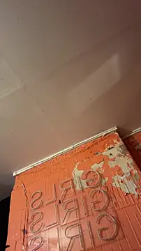 pervy devil online show from 03/24/26, 08:52