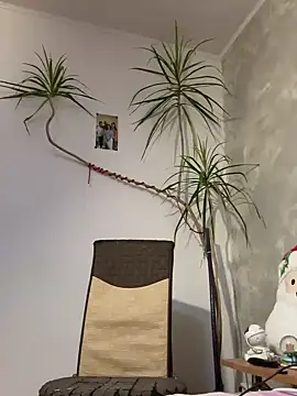 derek1494 online show from 01/09/26, 09:27