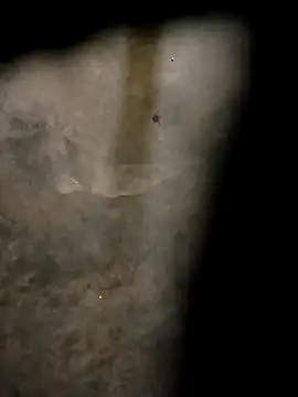 Snapshot of Yasha_14C_Creator chatting on 10/31/25, 04:57 Yasha 14C Creator online show from 10/31/25, 04:57