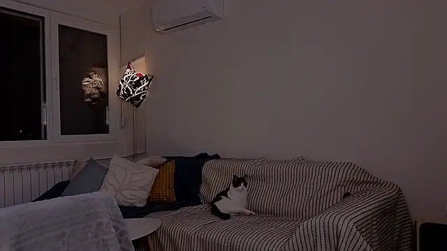 amber quell here online show from 11/25/25, 05:13