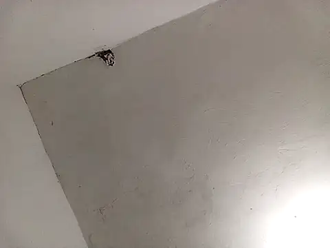 Surreyaa online show from 02/13/25, 03:39