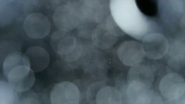 0815lukas2024 online show from 12/22/25, 03:58