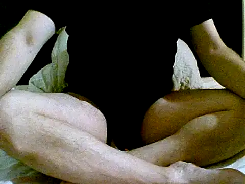 Snapshot of pollarikaaa chatting on 12/02/24, 04:42 pollarikaaa online show from 12/02/24, 04:42