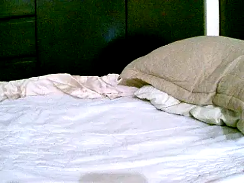 Snapshot of pollarikaaa chatting on 12/07/24, 09:55 pollarikaaa online show from 12/07/24, 09:55