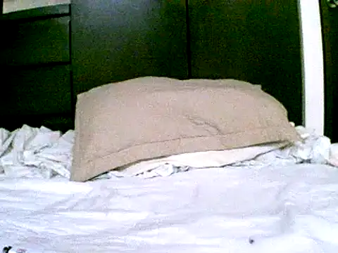 Snapshot of pollarikaaa chatting on 12/18/24, 09:51 pollarikaaa online show from 12/18/24, 09:51