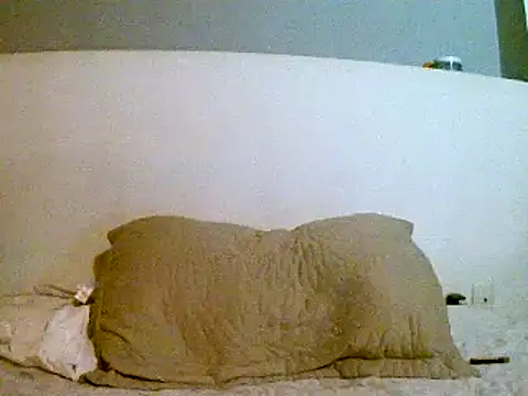 Snapshot of pollarikaaa chatting on 03/04/25, 01:12 pollarikaaa online show from 03/04/25, 01:12