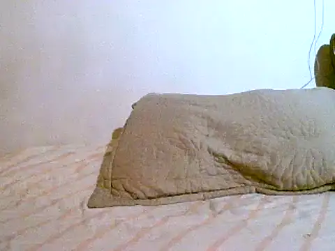 Snapshot of pollarikaaa chatting on 03/07/25, 02:15 pollarikaaa online show from 03/07/25, 02:15