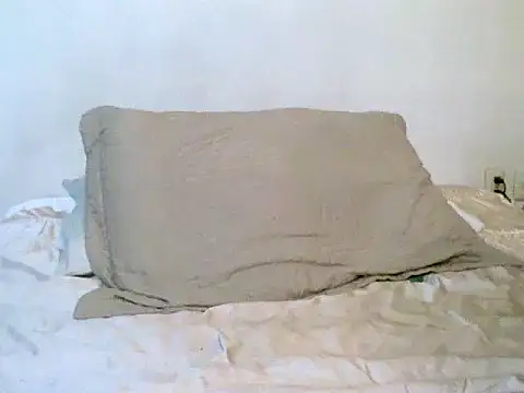 Snapshot of pollarikaaa chatting on 10/21/25, 02:01 pollarikaaa online show from 10/21/25, 02:01