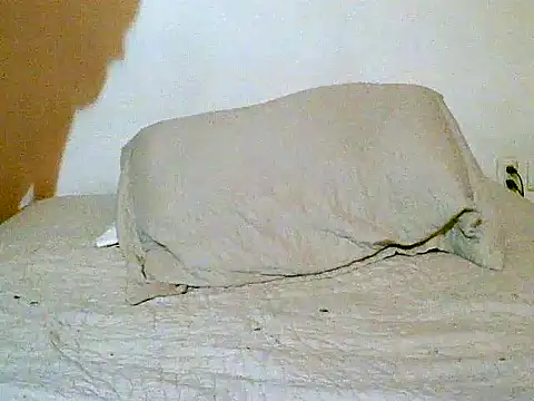 Snapshot of pollarikaaa chatting on 12/14/25, 12:05 pollarikaaa online show from 12/14/25, 12:05