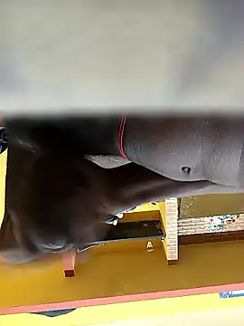 Tamil boy age28 online show from 01/12/26, 03:34