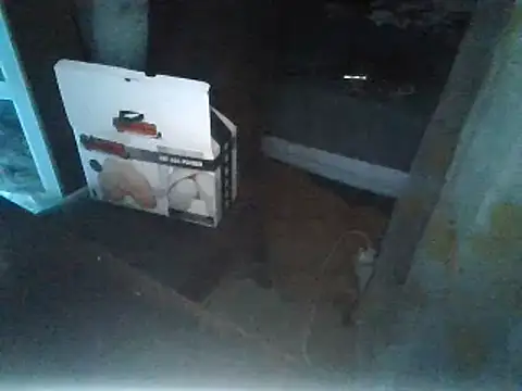 rubiomdz online show from 01/15/25, 10:57