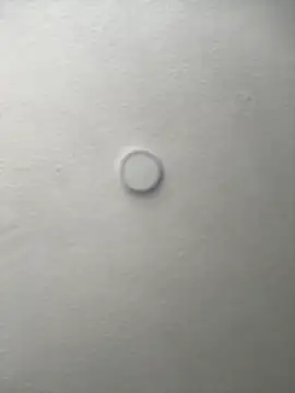 Salome golvert online show from 09/16/25, 03:35