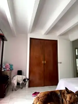 Salome golvert online show from 01/09/26, 03:48