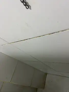 thfrances online show from 02/27/26, 03:39