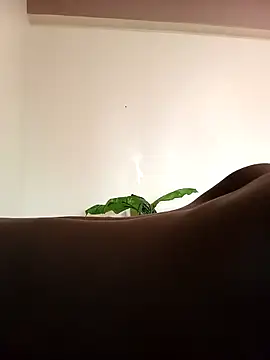 Snapshot of JemaimaPrincess chatting on 03/04/25, 08:24 JemaimaPrincess online show from 03/04/25, 08:24