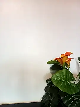 Snapshot of JemaimaPrincess chatting on 03/21/25, 11:22 JemaimaPrincess online show from 03/21/25, 11:22