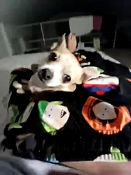 litleboy92 online show from 11/15/25, 01:25