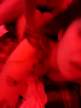 Elenitacandy online show from 11/19/25, 04:18