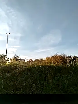 cuplubijoanna online show from 11/05/25, 03:01