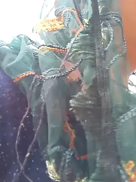 Simaran bhabhi online show from 03/16/25, 04:09