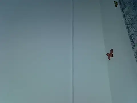 laetitia  online show from 09/29/25, 10:47