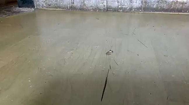 itstherahul online show from 02/17/25, 07:37