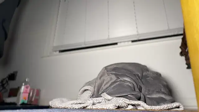 Theonlydreamybull online show from 04/20/26, 04:37