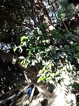 Hot-rubina online show from 03/06/25, 03:57