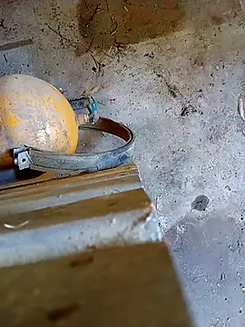 Din0071 online show from 01/07/26, 05:59