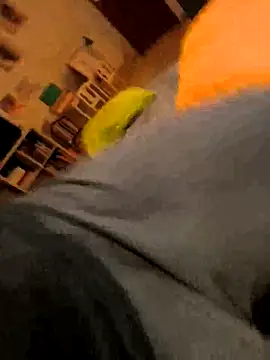 Snapshot of onbifeet chatting on 10/09/25, 06:17 onbifeet online show from 10/09/25, 06:17