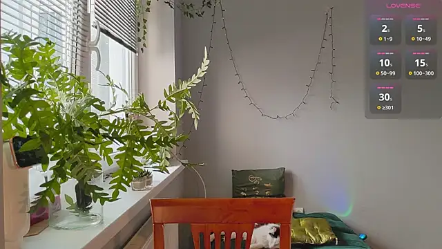 Snapshot of monlight__dana chatting on 01/27/25, 11:54 monlight  dana online show from 01/27/25, 11:54