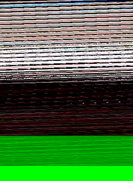 hungandtatted666 online show from 01/03/25, 05:39