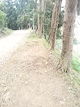 Demiansteven2 online show from 03/13/26, 04:24