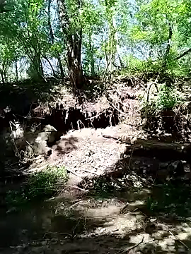 her4life online show from 04/21/26, 08:01