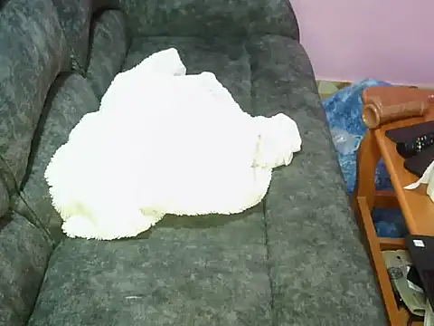 petitev online show from 11/04/25, 09:41