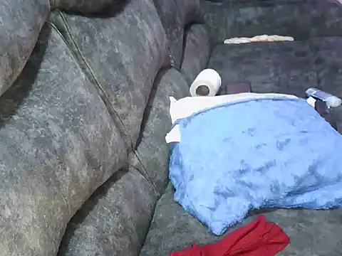 petitev online show from 03/02/26, 05:08